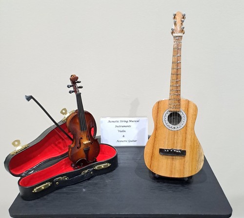 Violin acoustic guitar - violin,