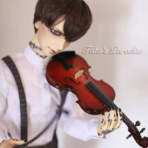 Violin musical instrument - musical,